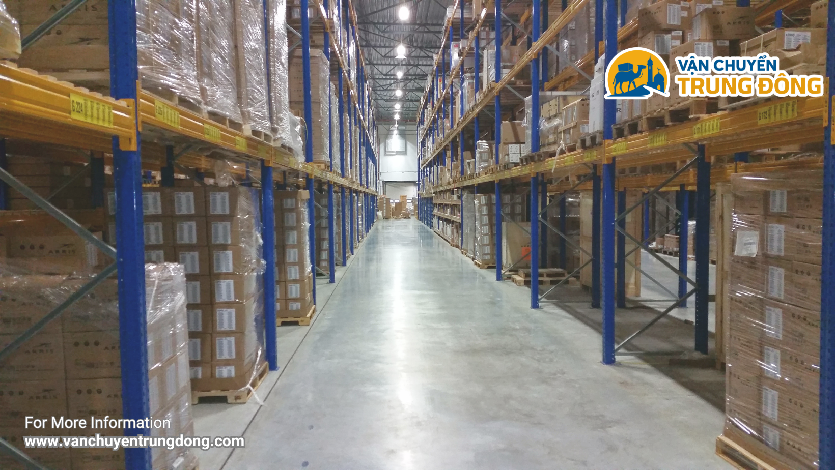 Sự khác nhau giữa Express – Economy – Cargo – Freight