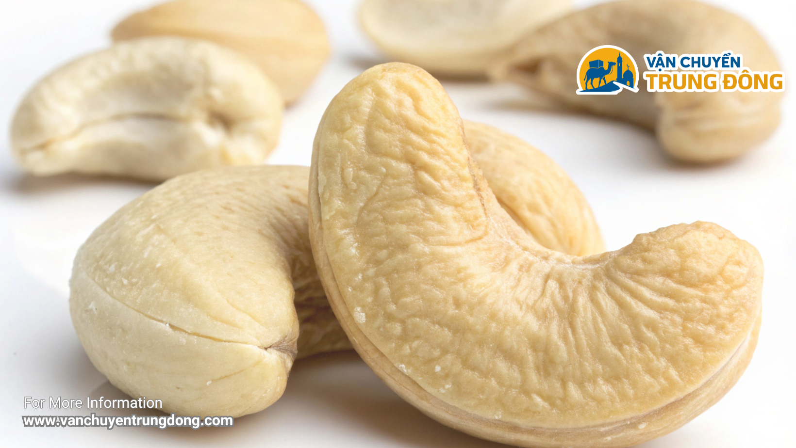 Gửi yến sào, hạt điều, cà phê, tiêu đi nước ngoài