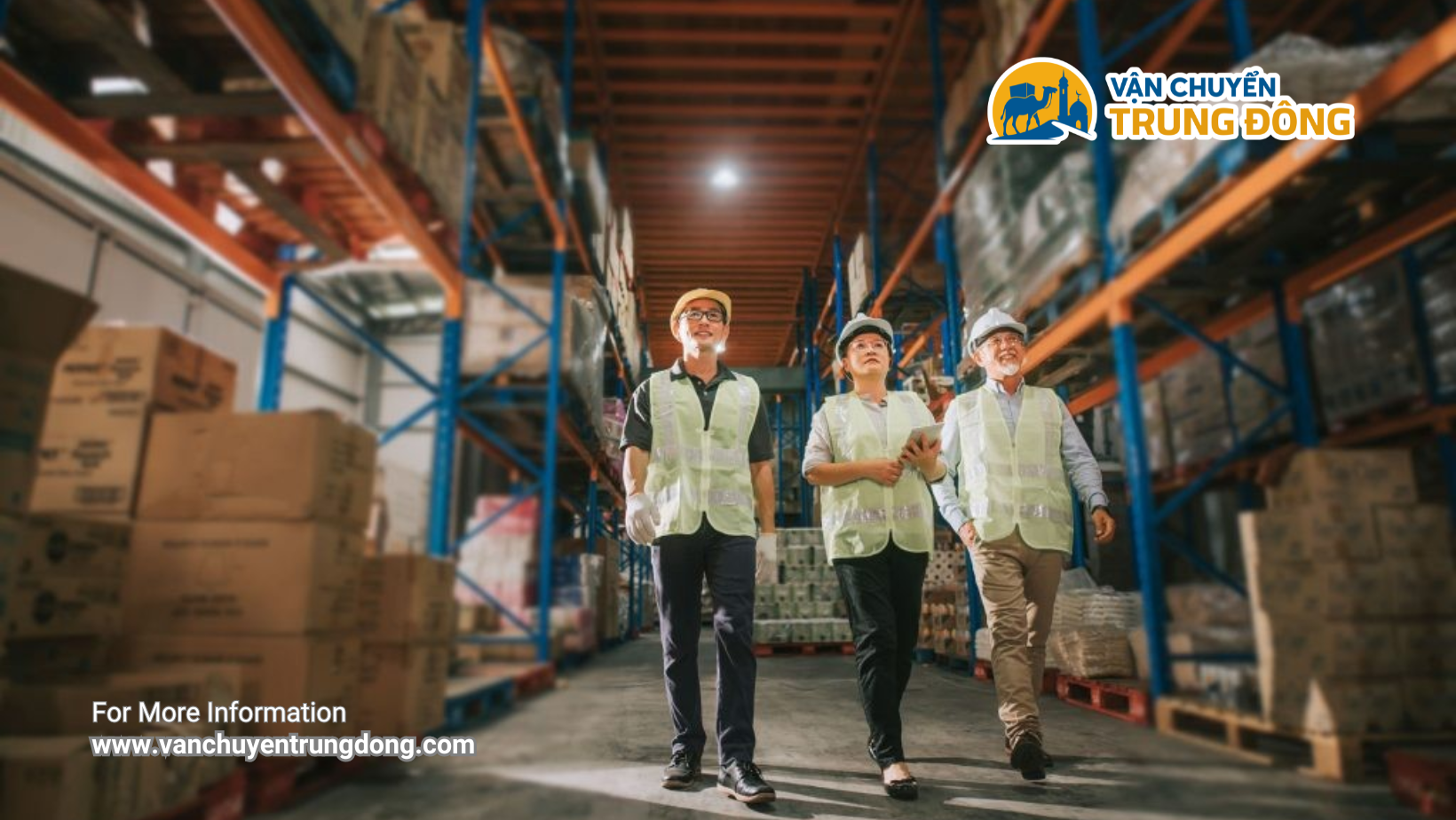 Khi Nào Cần Đóng Kiện Gỗ Và Hun Trùng (Fumigation)?